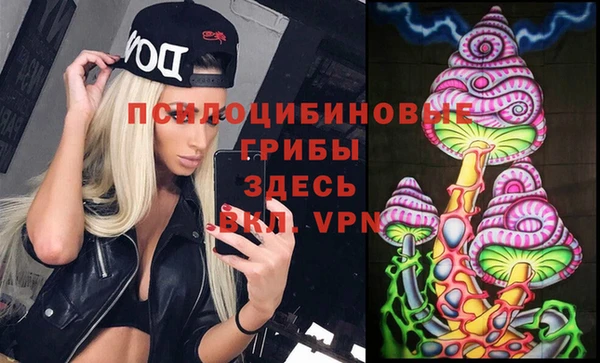спиды Няндома