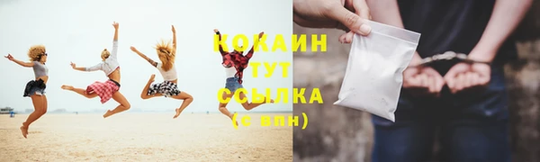 спиды Няндома