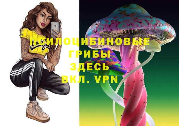 трава Нязепетровск