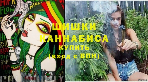 спиды Няндома