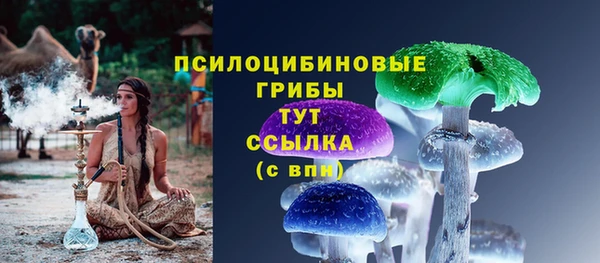 спиды Няндома